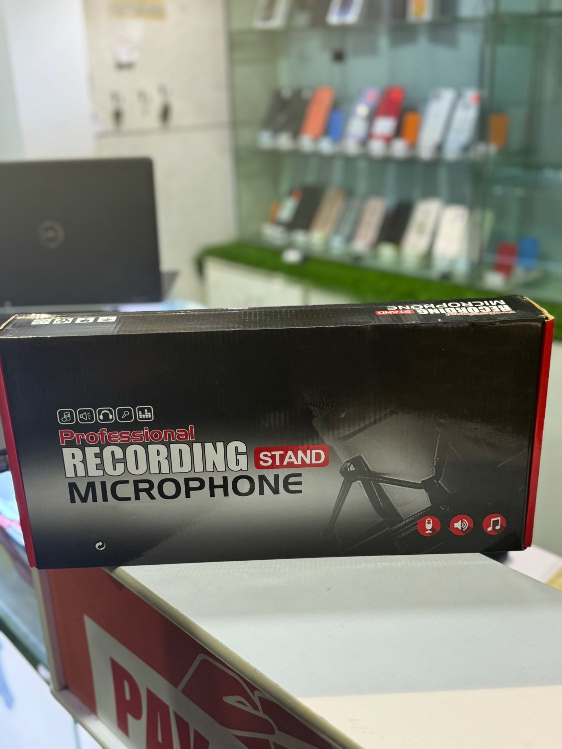 Professional Recording Stand Microphone